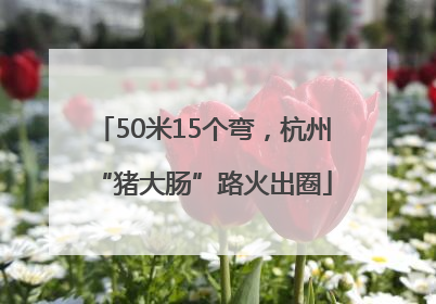 50米15个弯，杭州“猪大肠”路火出圈