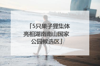 5只果子狸集体亮相湖南南山国家公园候选区