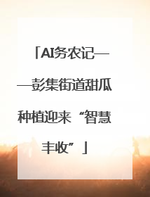 AI务农记——彭集街道甜瓜种植迎来“智慧丰收”