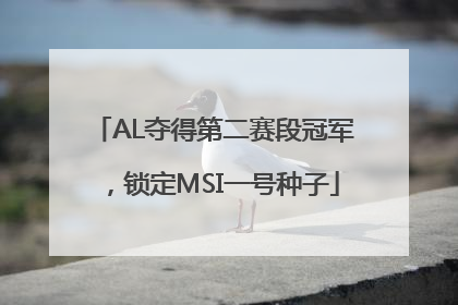 AL夺得第二赛段冠军，锁定MSI一号种子