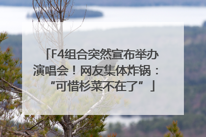 F4组合突然宣布举办演唱会！网友集体炸锅：“可惜杉菜不在了”
