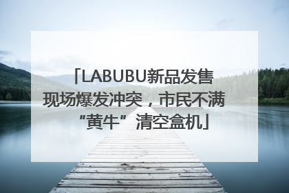LABUBU新品发售现场爆发冲突，市民不满“黄牛”清空盒机